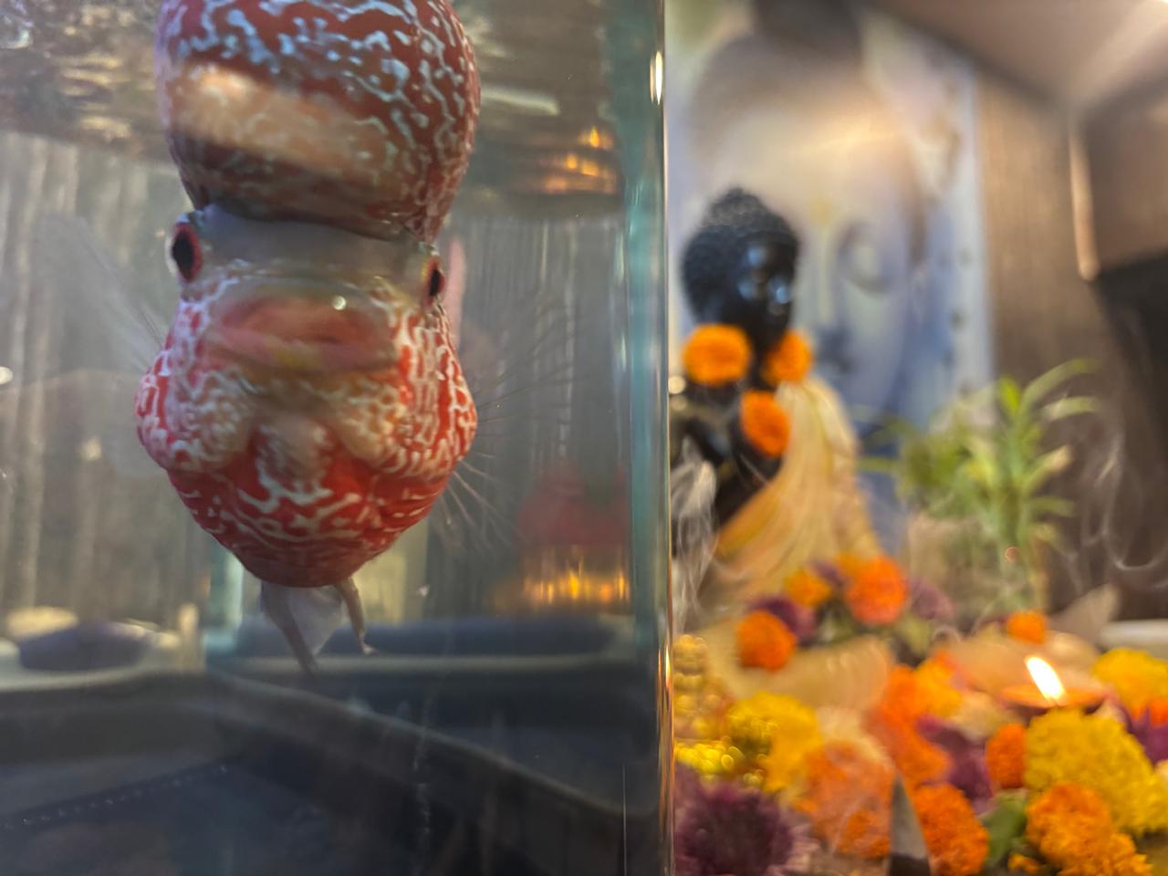 Ocean Salon & Spa
